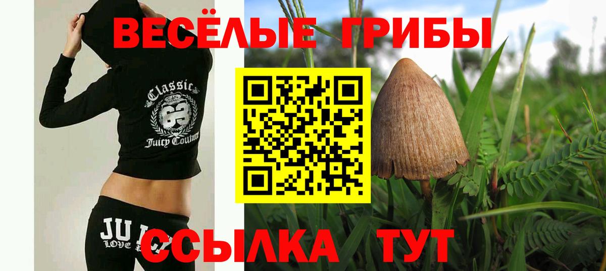 Псилоцибиновые грибы мухоморы  Вход с VPN  Троицк 